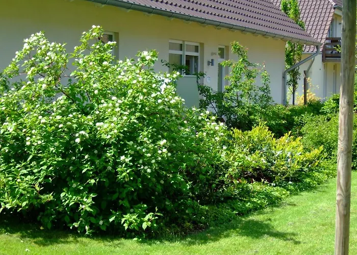 4 Sterne Donnerkeil Mit Balkon *